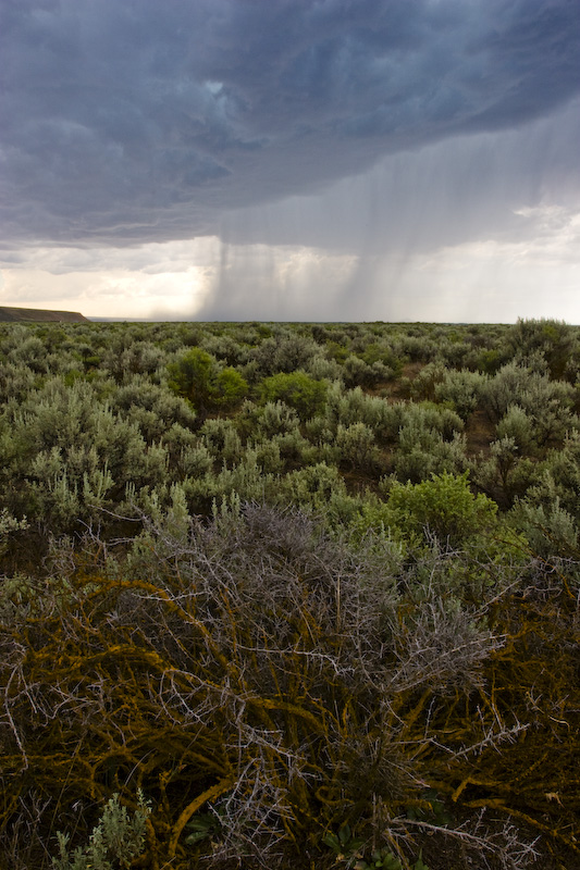 Storm Cloud Over High Desert